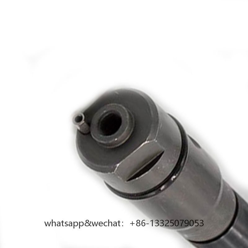 028130202P 028130202P