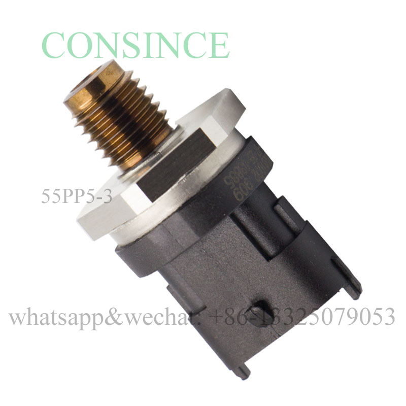 55PP5-3